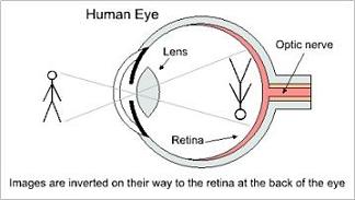 Image perception 